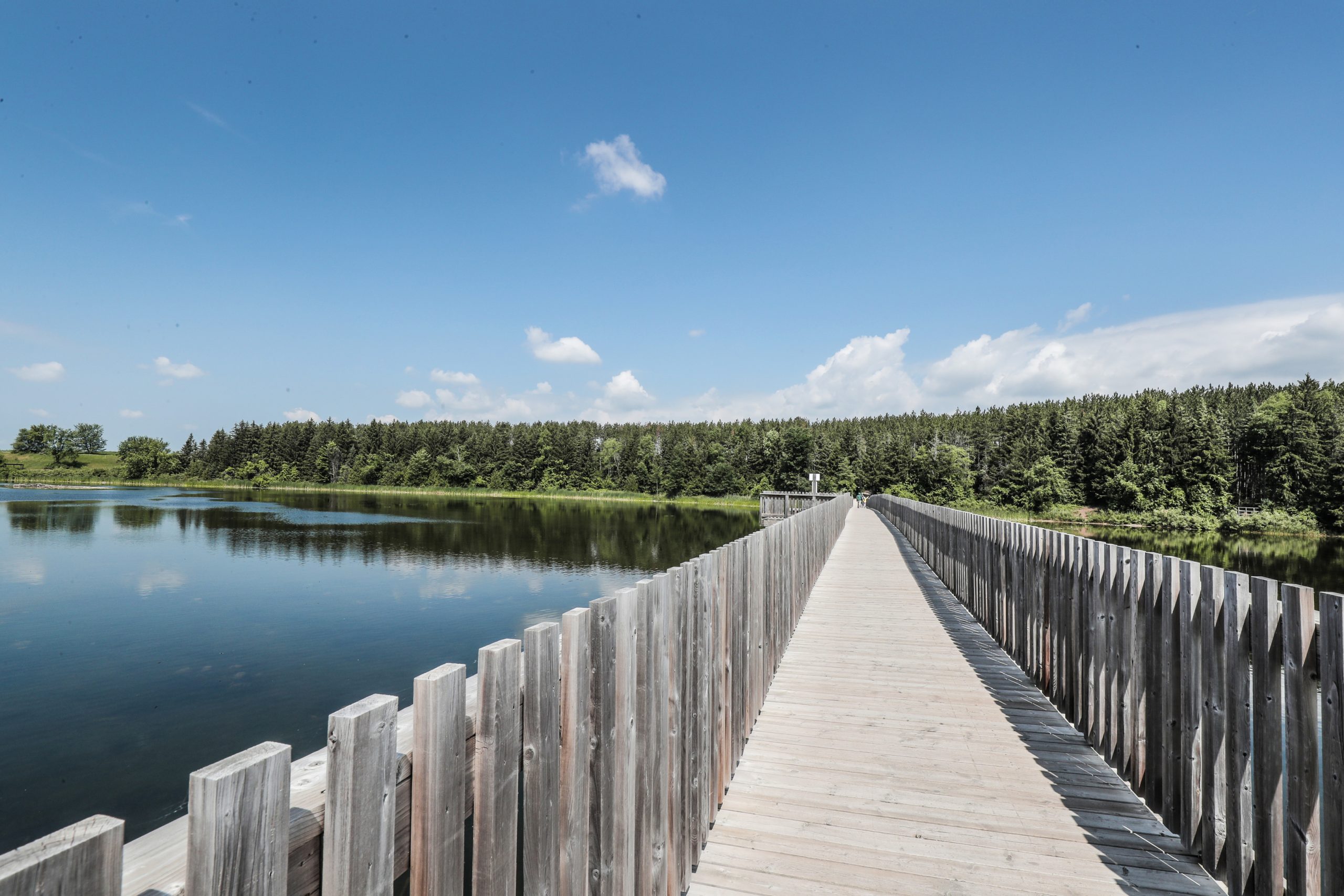 boardwalk at island lake over the water