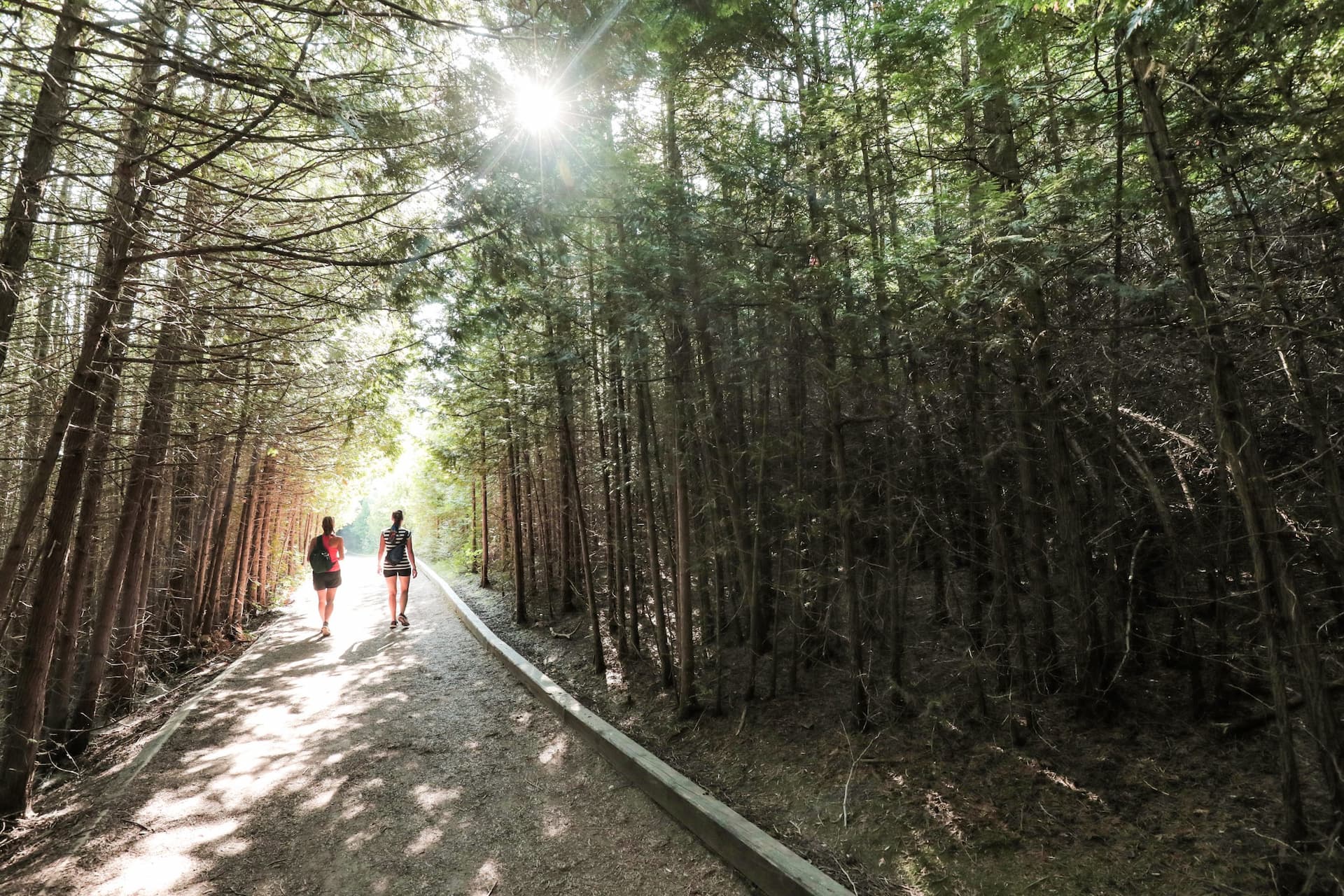 Two friends hiking through the Island Lake Conservation Area in Orangeville.