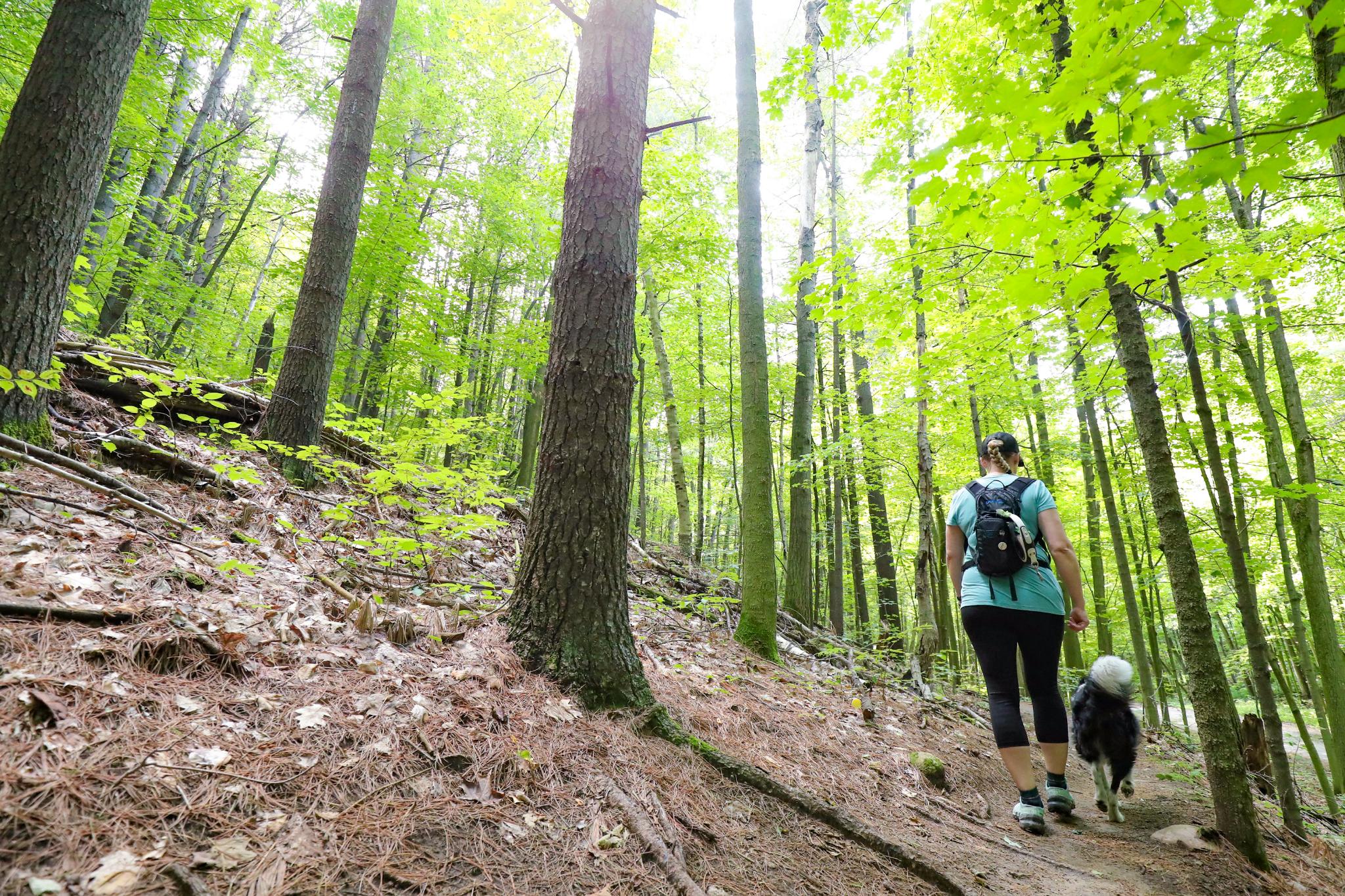 Lady hiking with her dog