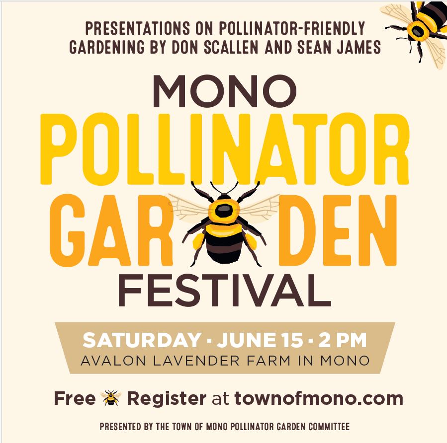 Mono Pollinator Garden Festival Ad