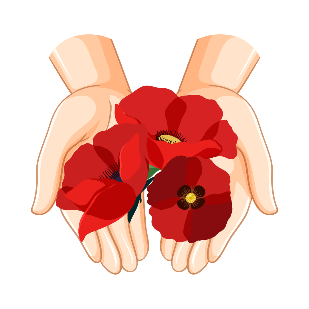 Hands holding red poppies