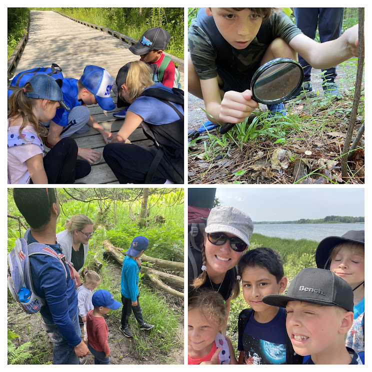 collage of kids partaking in some outdoor activities