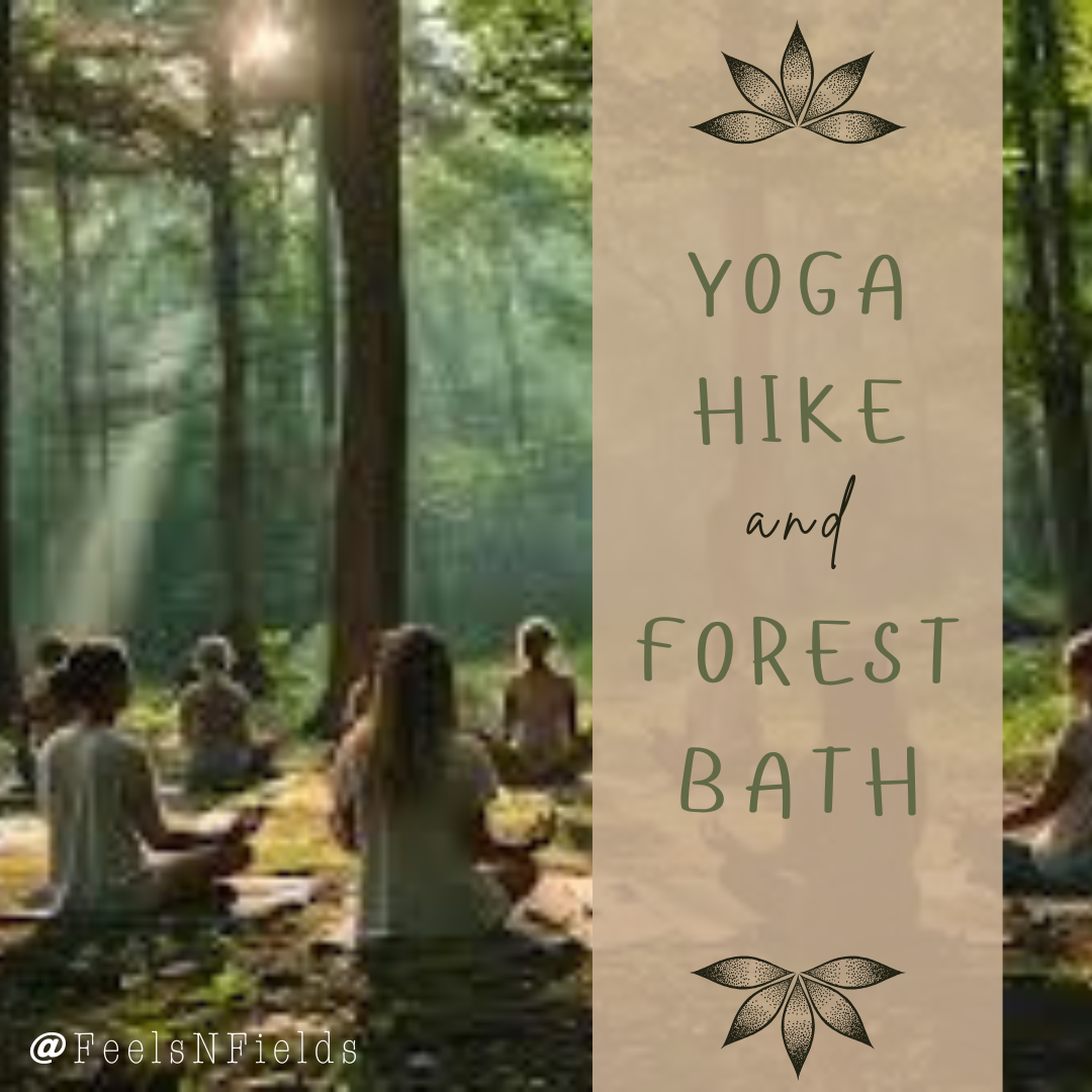 Yoga Hike and Forest Bath graphic with people doing yoga in the forest