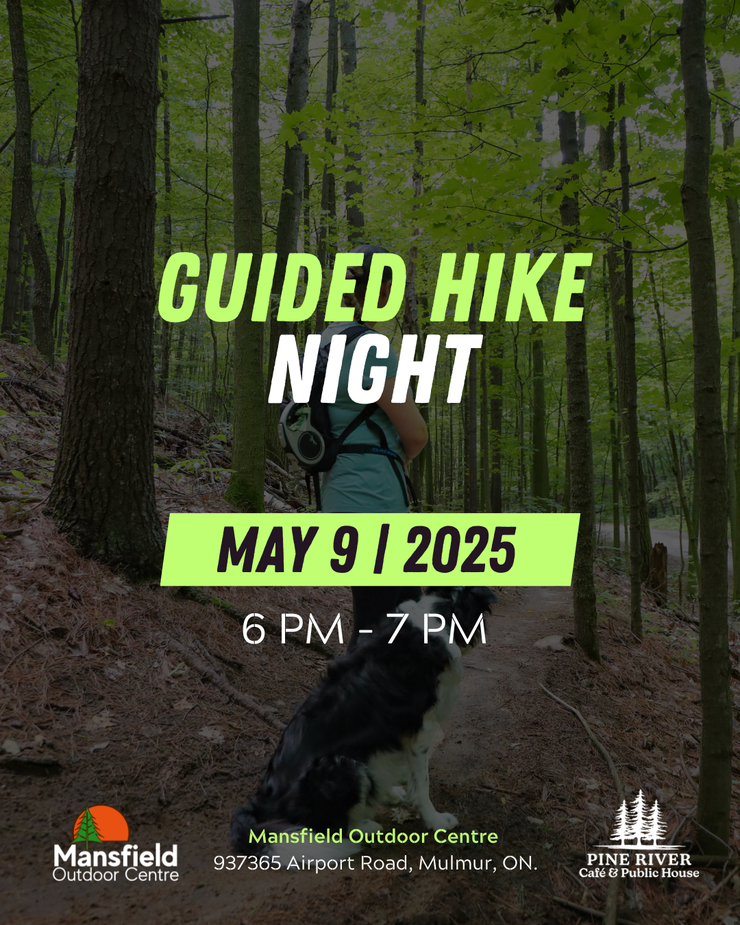 graphic for guided night hike