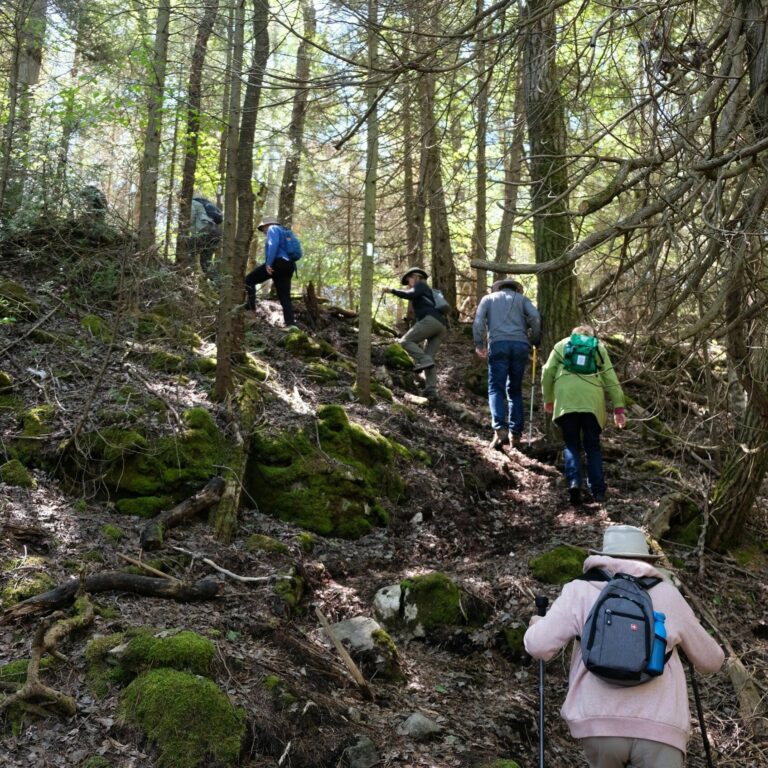 image of people hiking the bruce trail