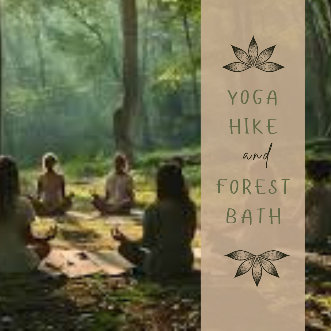Yoga Hike and forest bath image