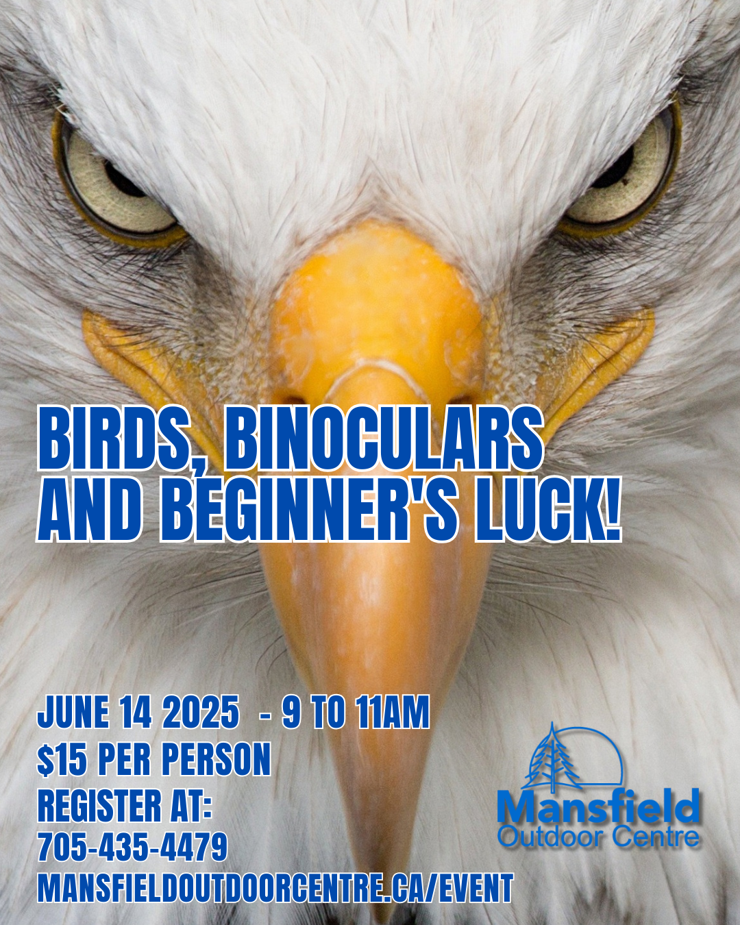 image for event with eagle and event title