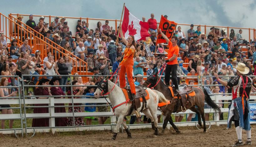image of ram rodeo. people riding horses