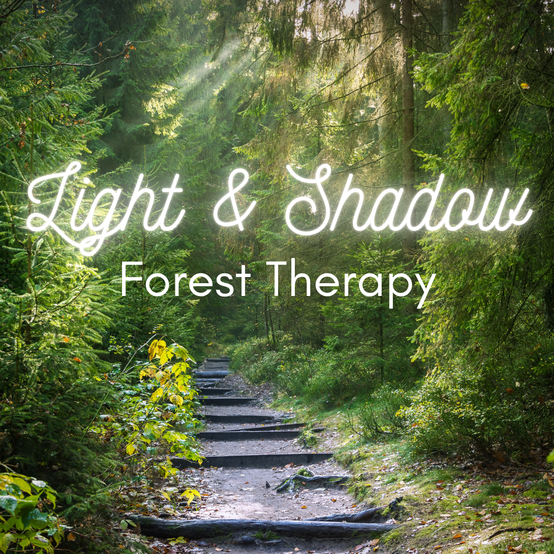 Light and Shadow Forest Therapy ad image