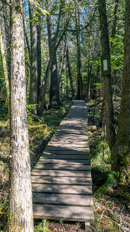boyne valley provincial park boardwalk
