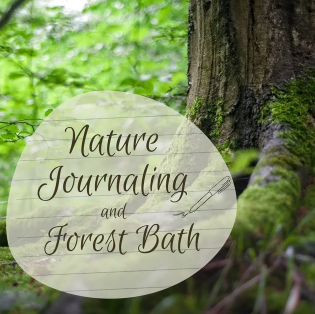 natture journaling and forest bath graphic