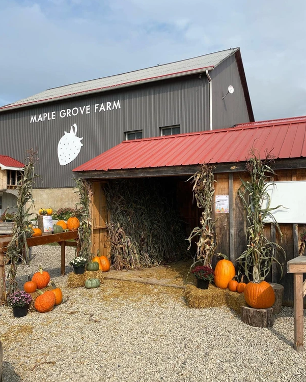 Maple grove farm entrance for the fall festival