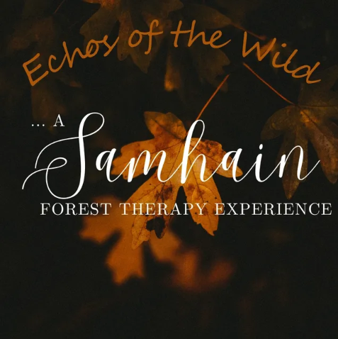 Echos of the wild graphic image