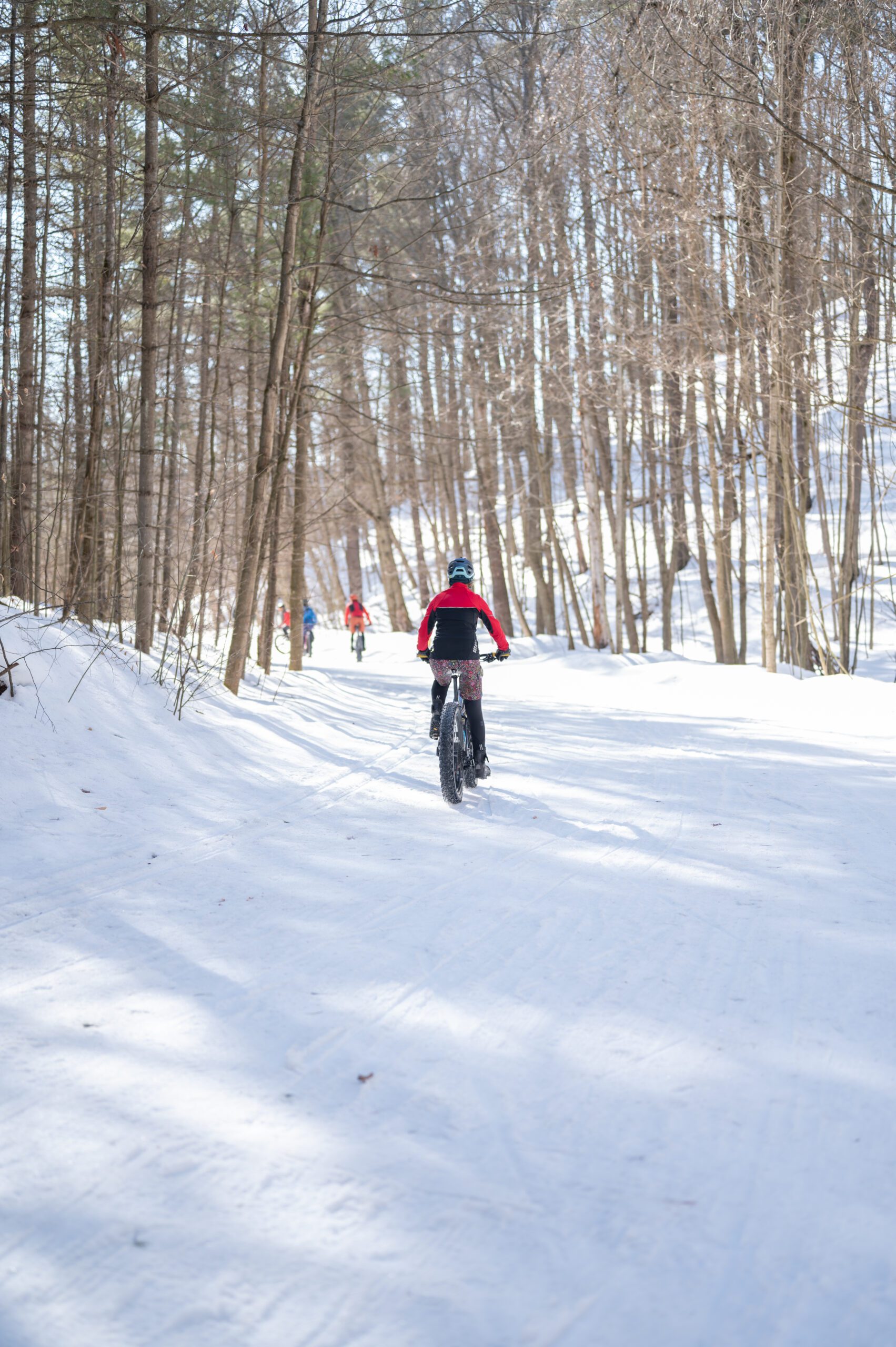 Person in red jacket fat biking in the winter in a forest.
